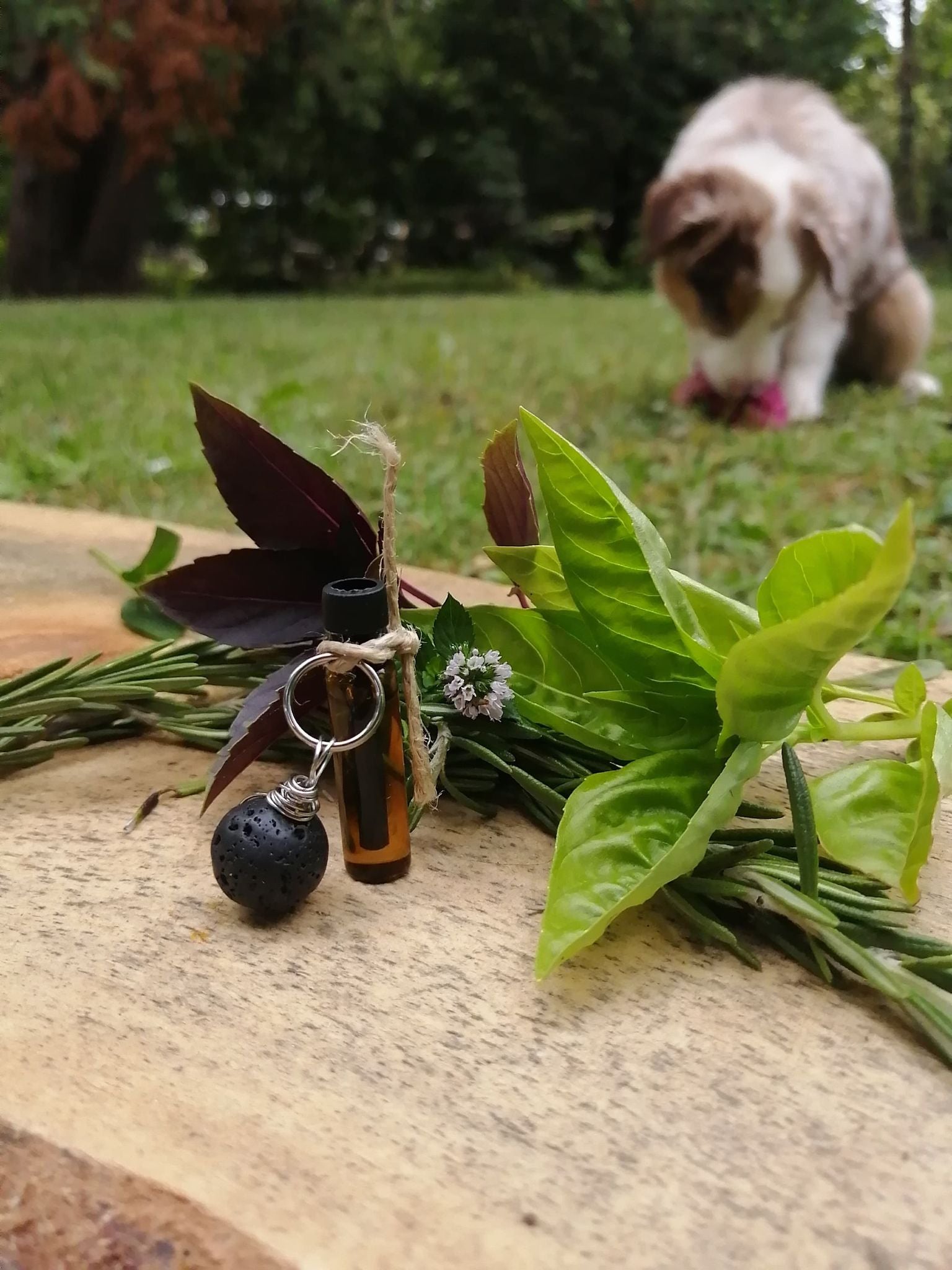 Pendentif naturel pour collier à chien. Pour augmenter l'Énergie. Mon Toutou a besoin d'Énergie Les sens ciels des champs