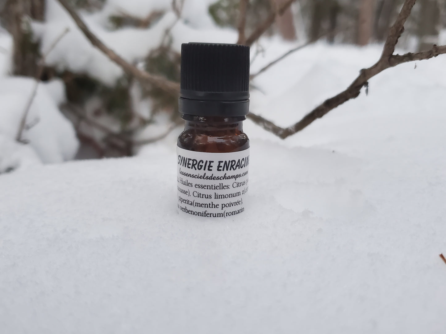 Synergie l'Enraciné pour aider la concentration (mélange d'huiles essentielles de qualité) Les sens ciels des champs