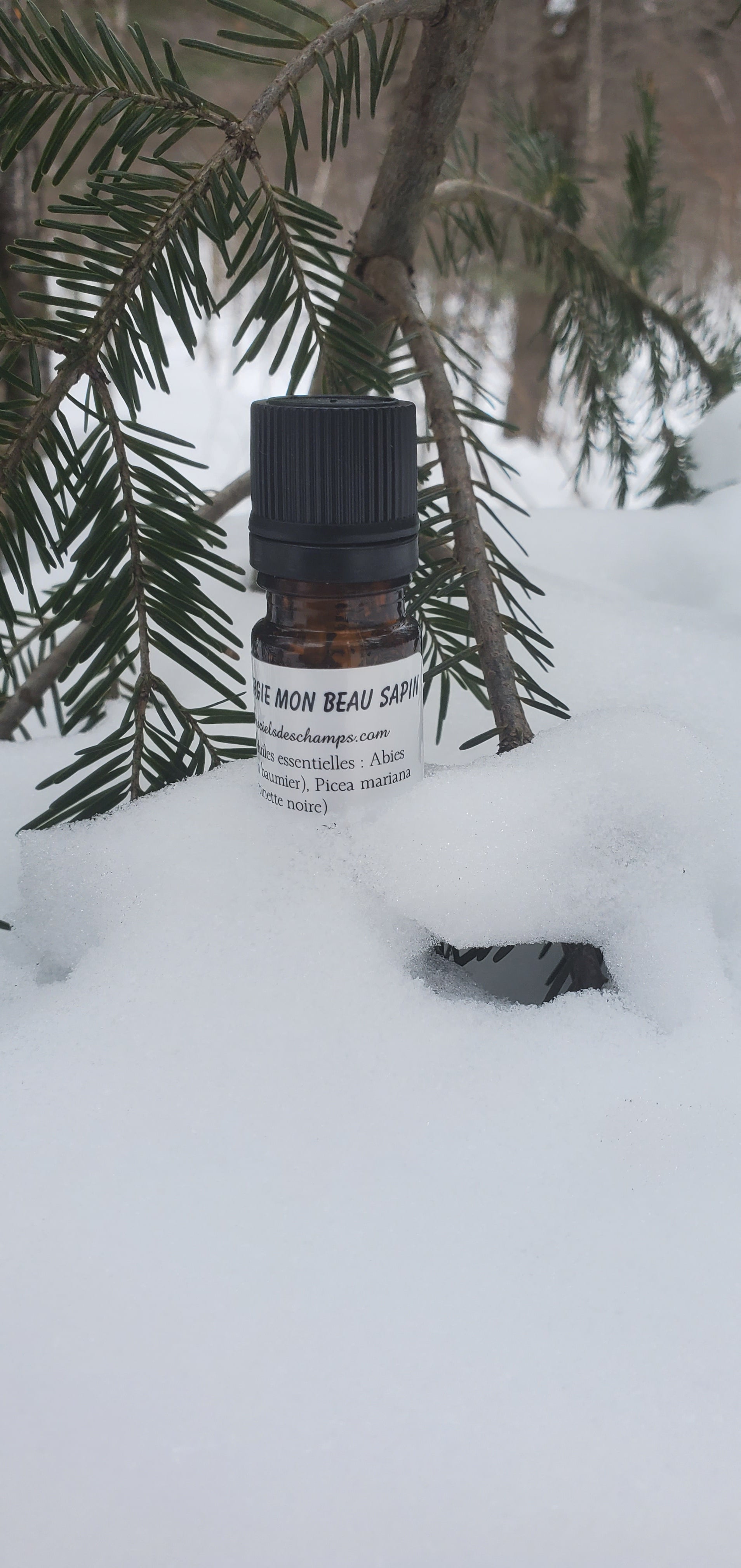 Synergie Mon Beau Sapin - pour purifier l'air - odeur des bois (mélange d'huiles essentielles de qualité) Les sens ciels des champs