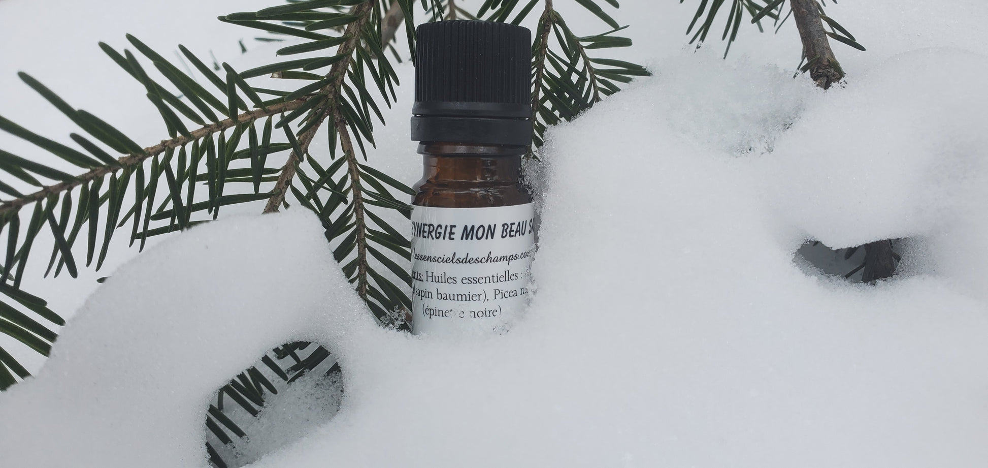 Synergie Mon Beau Sapin - pour purifier l'air - odeur des bois (mélange d'huiles essentielles de qualité) Les sens ciels des champs