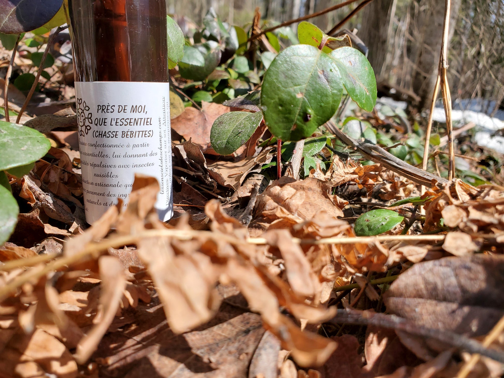 Près de moi, que l'essentiel - Spray chasse bébittes Les sens ciels des champs