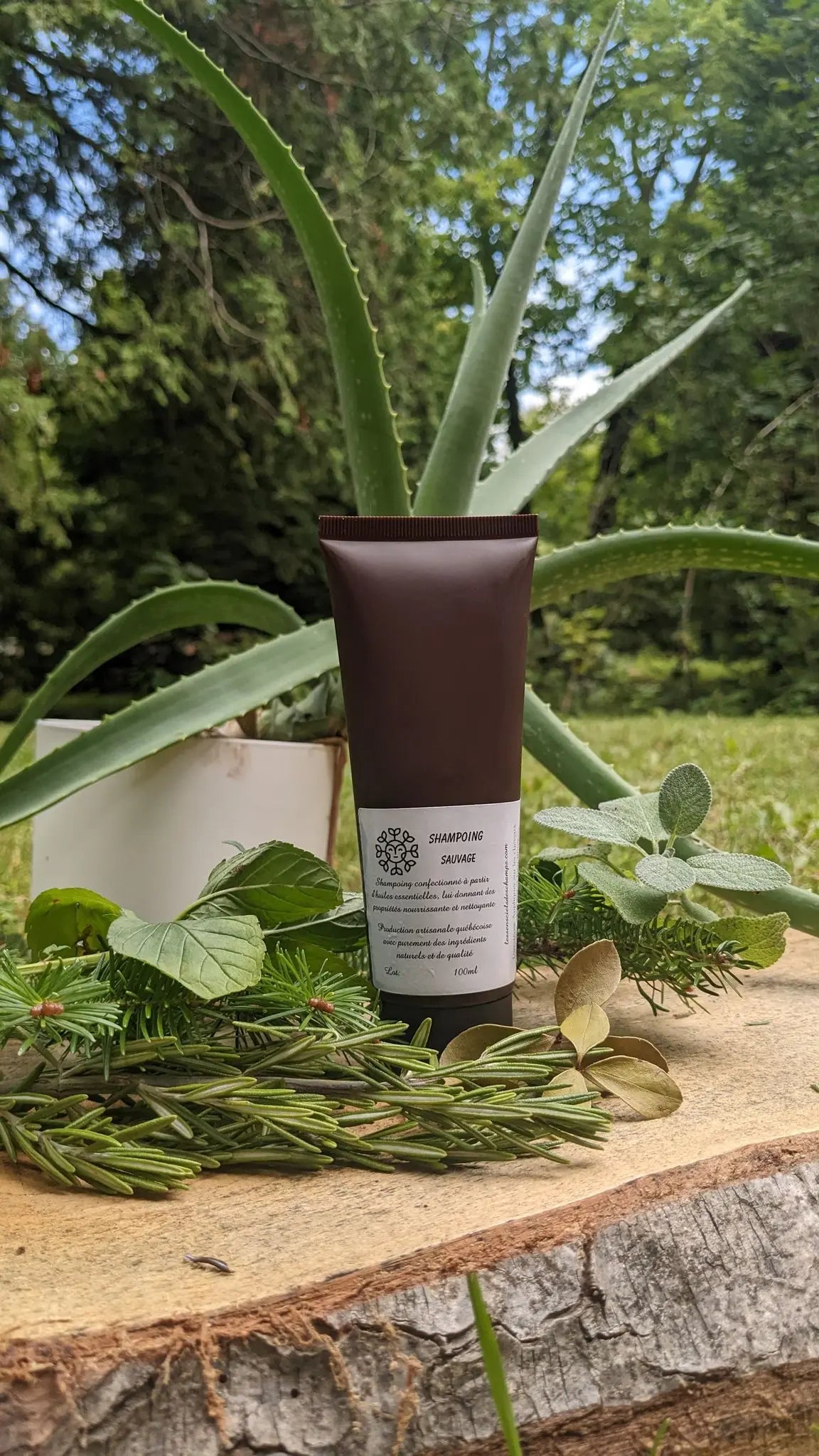 Shampoing naturel (le sauvage) Les sens ciels des champs